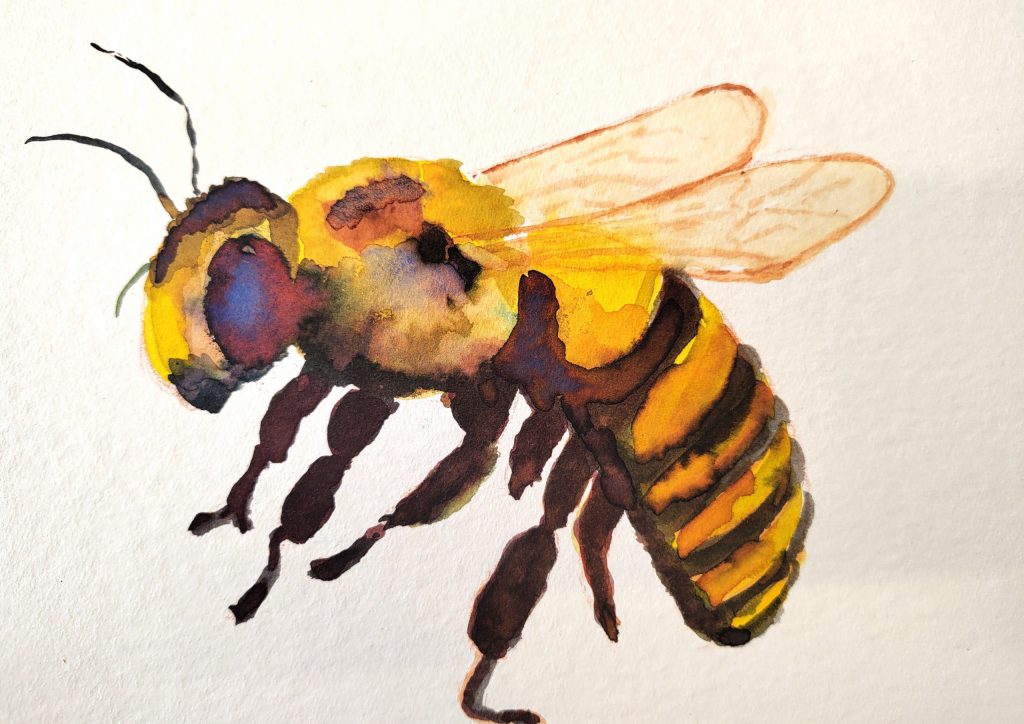 IMG_20250308_143906782